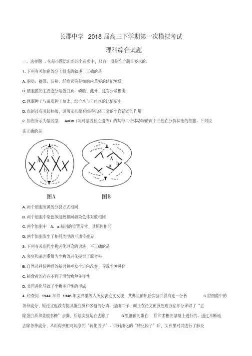 湖南省长郡中学2018届高三下学期第一次模拟考试理科综合试题(word)