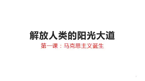 解放人类的阳光大道课件—高考历史人民版一轮复习