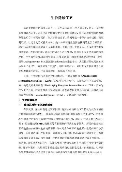 生物除磷工艺
