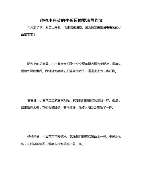 种植小白菜的生长环境要求写作文