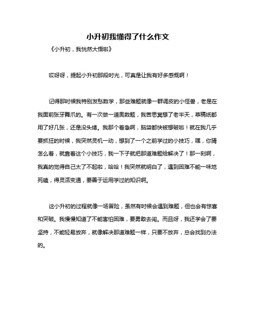小升初我懂得了什么作文