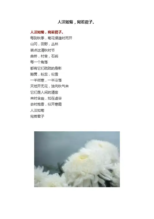 人淡如菊，宛若君子。