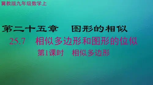 冀教版数学九年级上册 25.7相似多边形和图形的位似