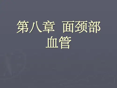 口腔解剖生理学 血管、淋巴PPT课件