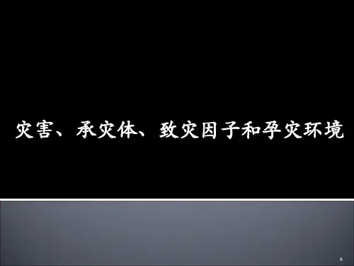 3灾害、承灾体、致灾因子、孕灾环境ppt课件