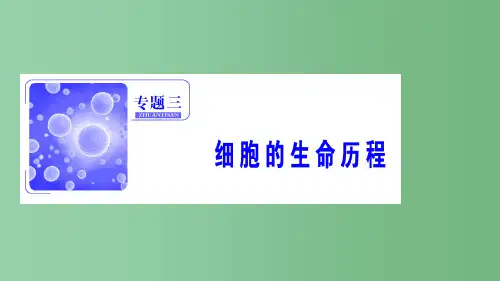 高考生物二轮复习第一部分专题三细胞的生命历程细胞的生命历程新人教版