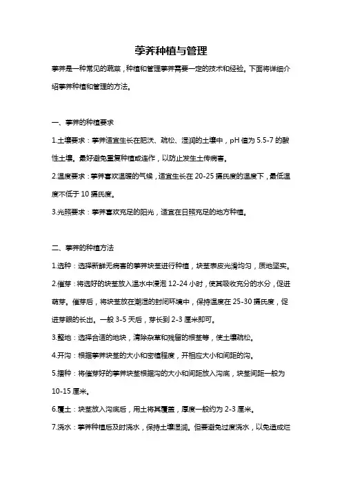 荸荠种植与管理