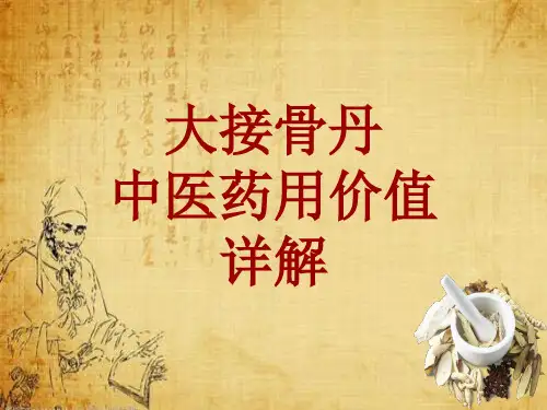 中药学_大接骨丹_药材详解课件模板