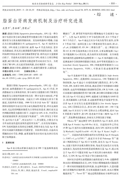 脂蛋白肾病发病机制及治疗研究进展