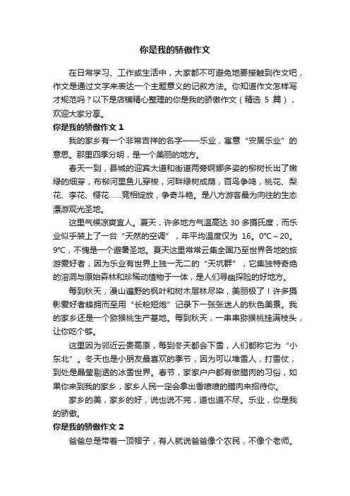 你是我的骄傲作文