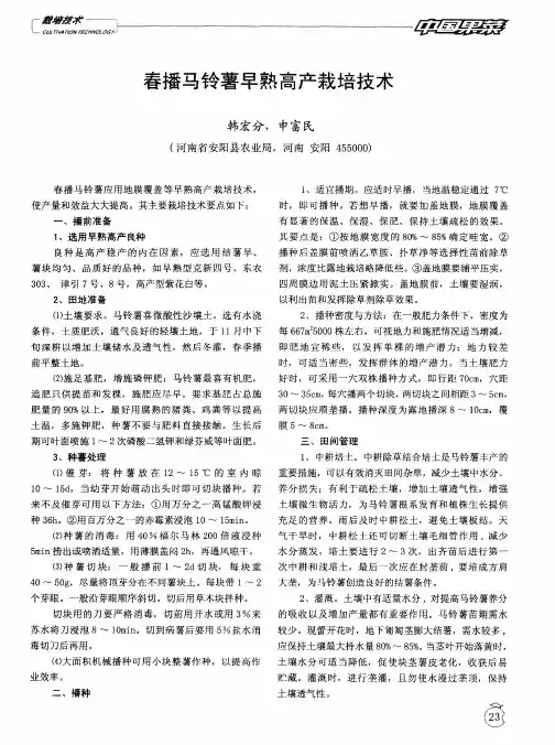 春播马铃薯早熟高产栽培技术