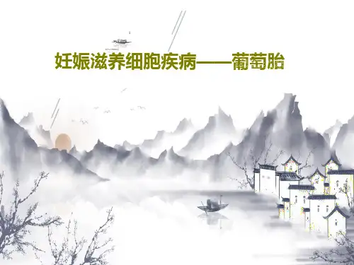 妊娠滋养细胞疾病——葡萄胎24页PPT