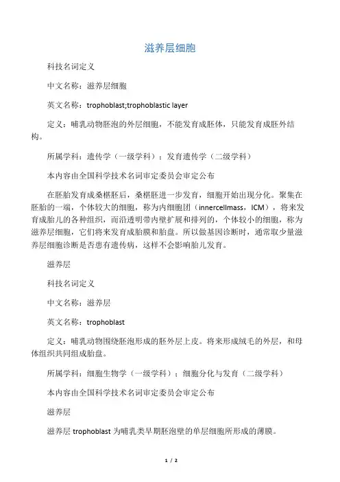 滋养层细胞