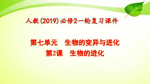 7-2 生物的进化【人教(2019)必修2一轮复习课件】