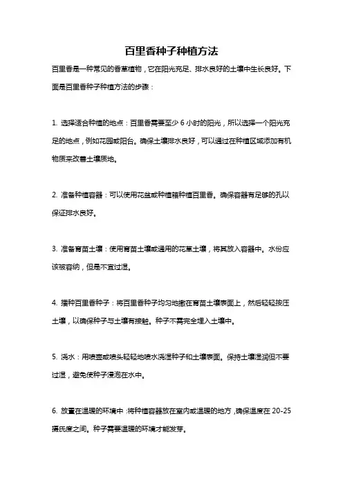 百里香种子种植方法