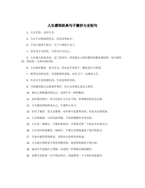 人生感悟经典句子摘抄大全短句