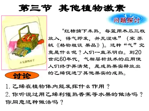 人教版高中必修三生物课件：3.3其他植物激素3