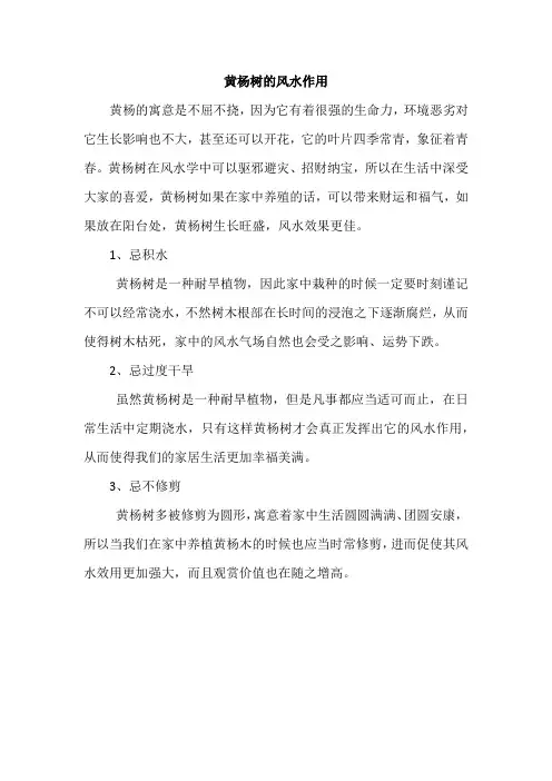黄杨树的风水作用