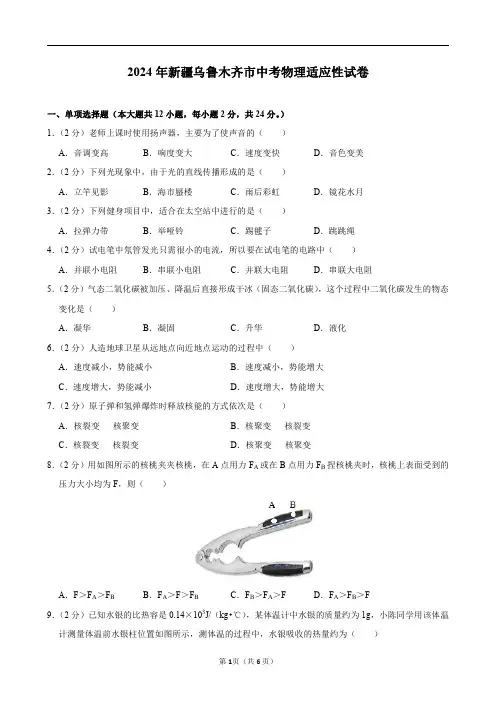 2024年新疆乌鲁木齐市中考物理适应性试卷及答案解析 (1)