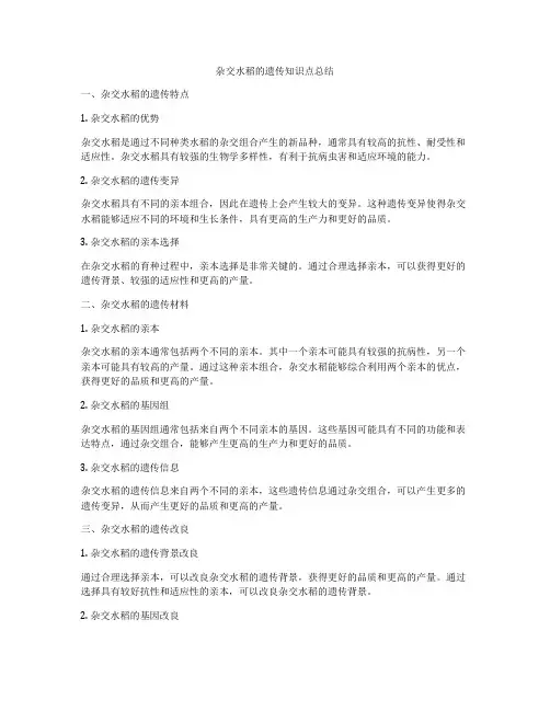 杂交水稻的遗传知识点总结