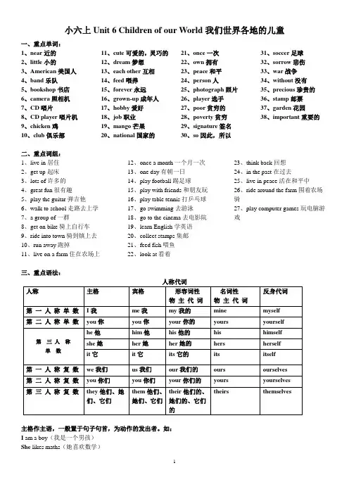 六上Unit 6 Children of our World.