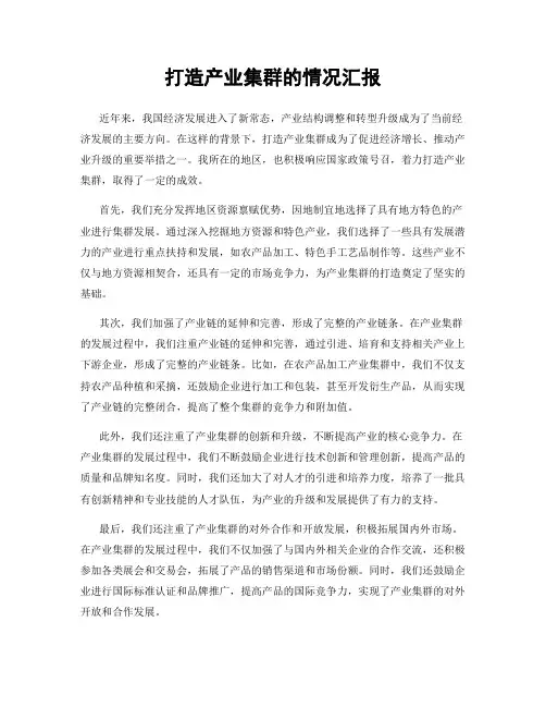 打造产业集群的情况汇报