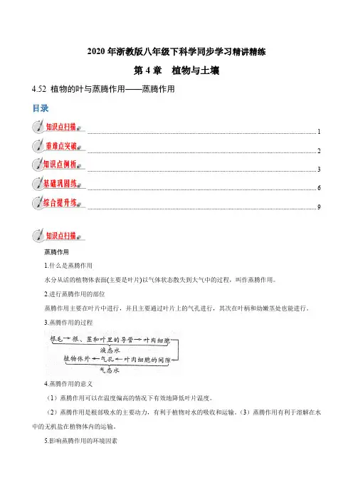 专题4.5.2植物的叶与蒸腾作用蒸腾作用