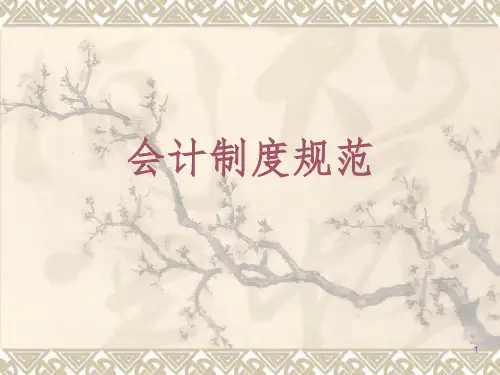 会计制度规范PPT参考幻灯片