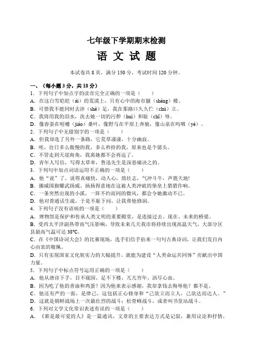 山东省泰安新泰市(五四制)2023-2024学年七年级下学期期末语文试题(含答案)
