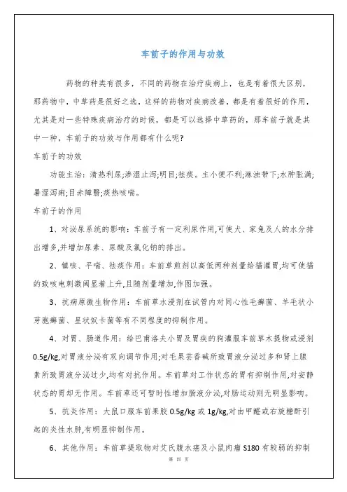 车前子的作用与功效