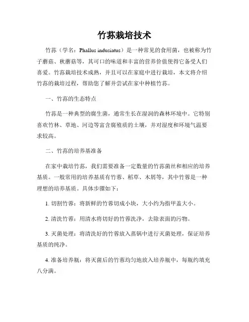 竹荪栽培技术