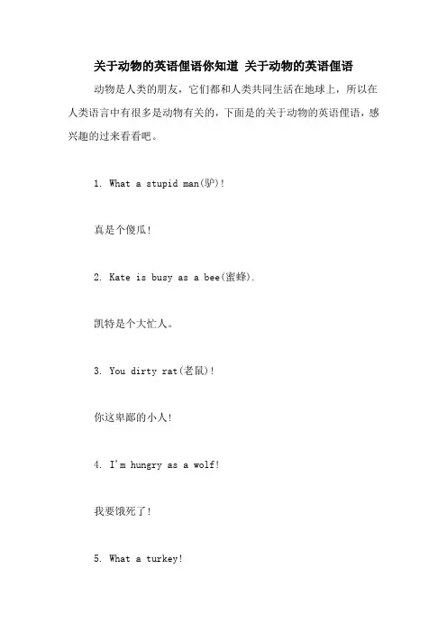 关于动物的英语俚语你知道 关于动物的英语俚语