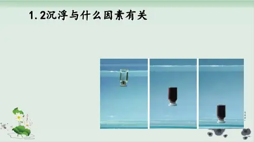 五年级下册科学课件沉浮与什么因素有关教科版(共14张PPT)