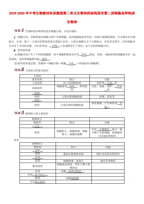 2019-2020年中考生物教材知识梳理第二单元生物体的结构层次第二讲细胞怎样构成生物体