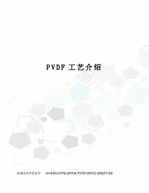 PVDF工艺介绍