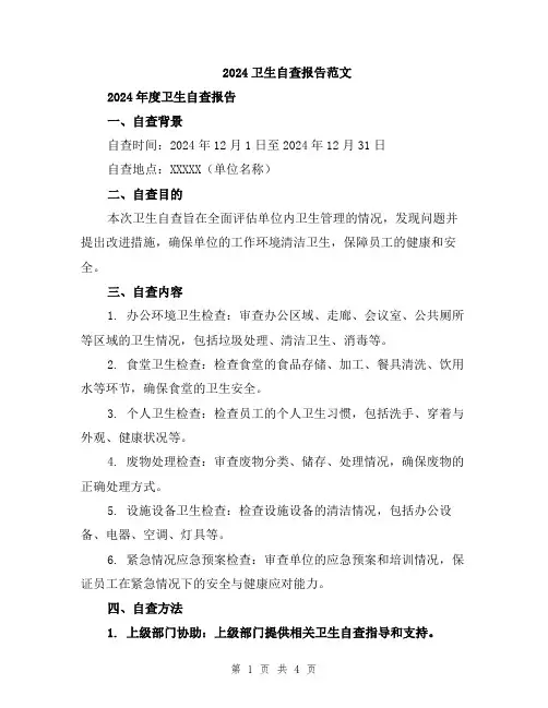 2024卫生自查报告范文