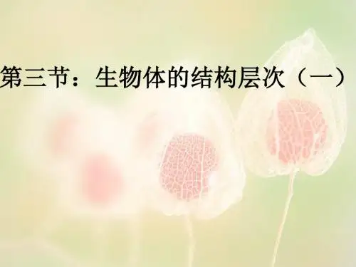 细胞分裂、生长、分化