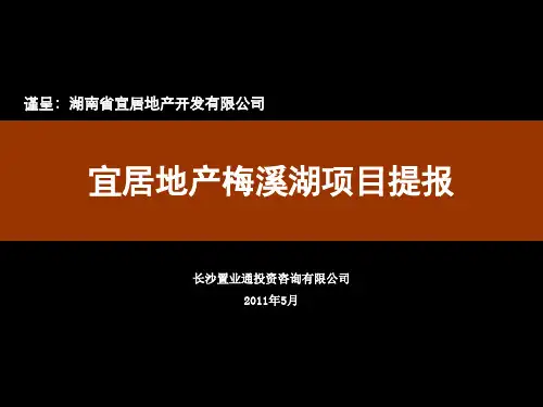  长沙梅溪湖地产项目(案例分析)资料
