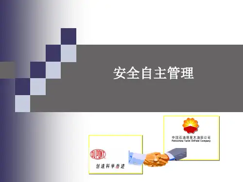 安全自主管理(jll)