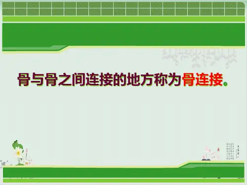 四年级下册科学课件2.关节苏教版(共22张PPT)