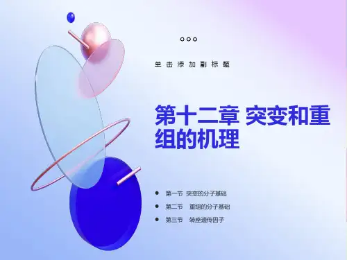 遗传学课件第十二章