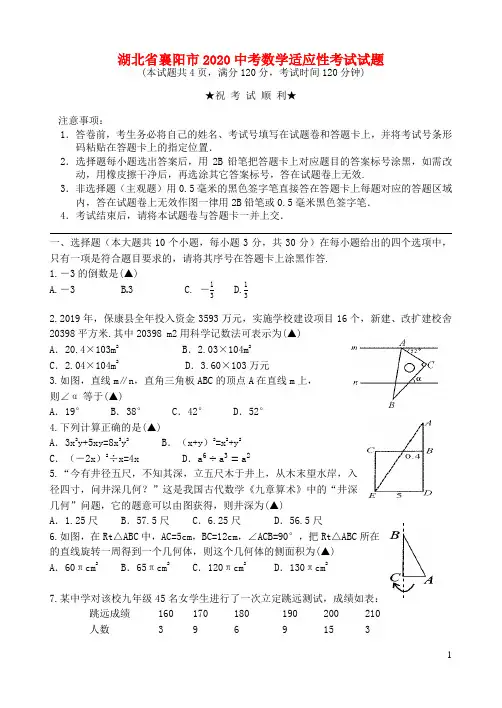 湖北省襄阳市2020中考数学适应性考试试题