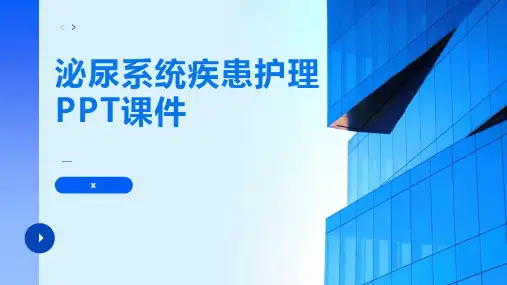 泌尿系统疾患护理PPT课件