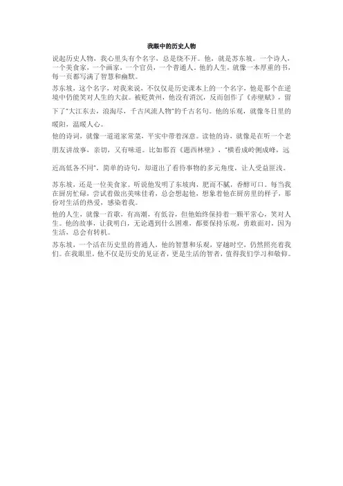 我眼中的历史人物作文