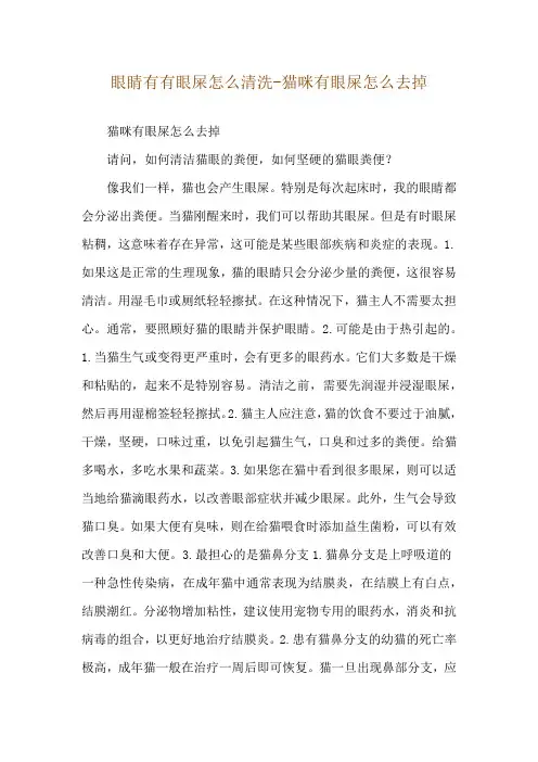 眼睛有有眼屎怎么清洗-猫咪有眼屎怎么去掉
