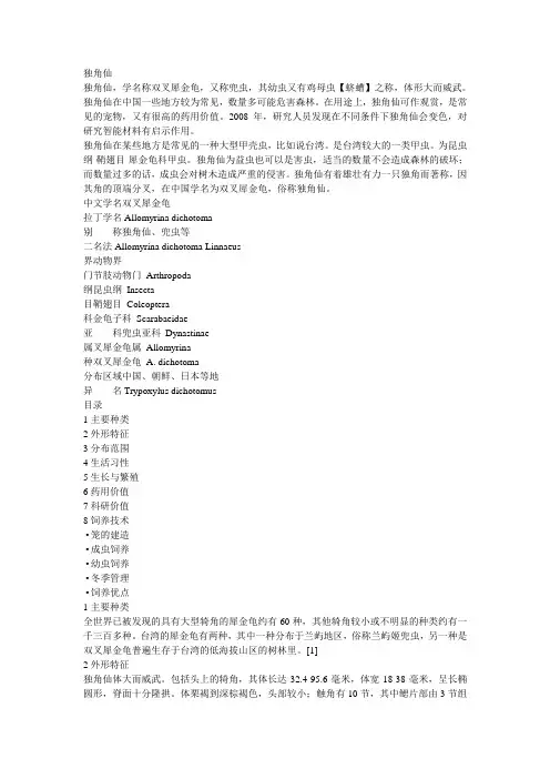 独角仙
