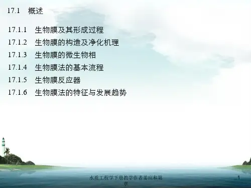 水质工程学下册教学作者姜应和第章