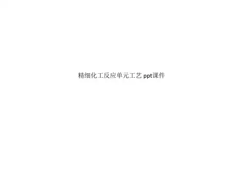 精细化工反应单元工艺 ppt课件