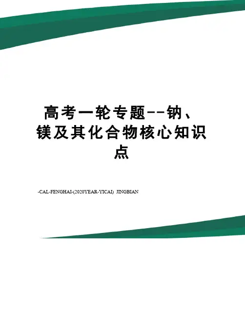 高考一轮专题--钠、镁及其化合物核心知识点