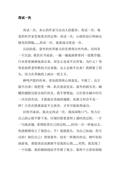 再试一次作文700字
